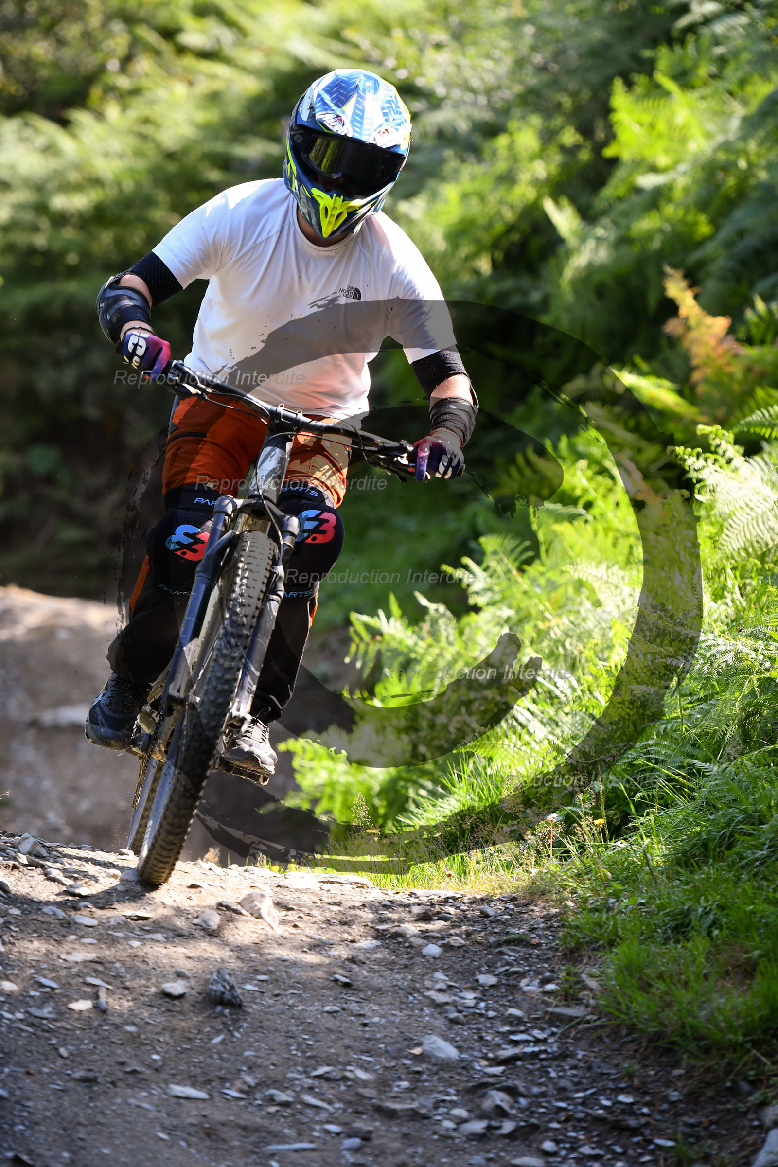 - VAL_4253 - 12H17.jpg