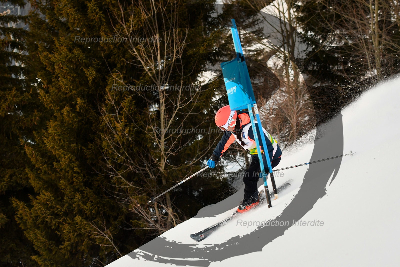 fleche Vaujany ESF Montfrais