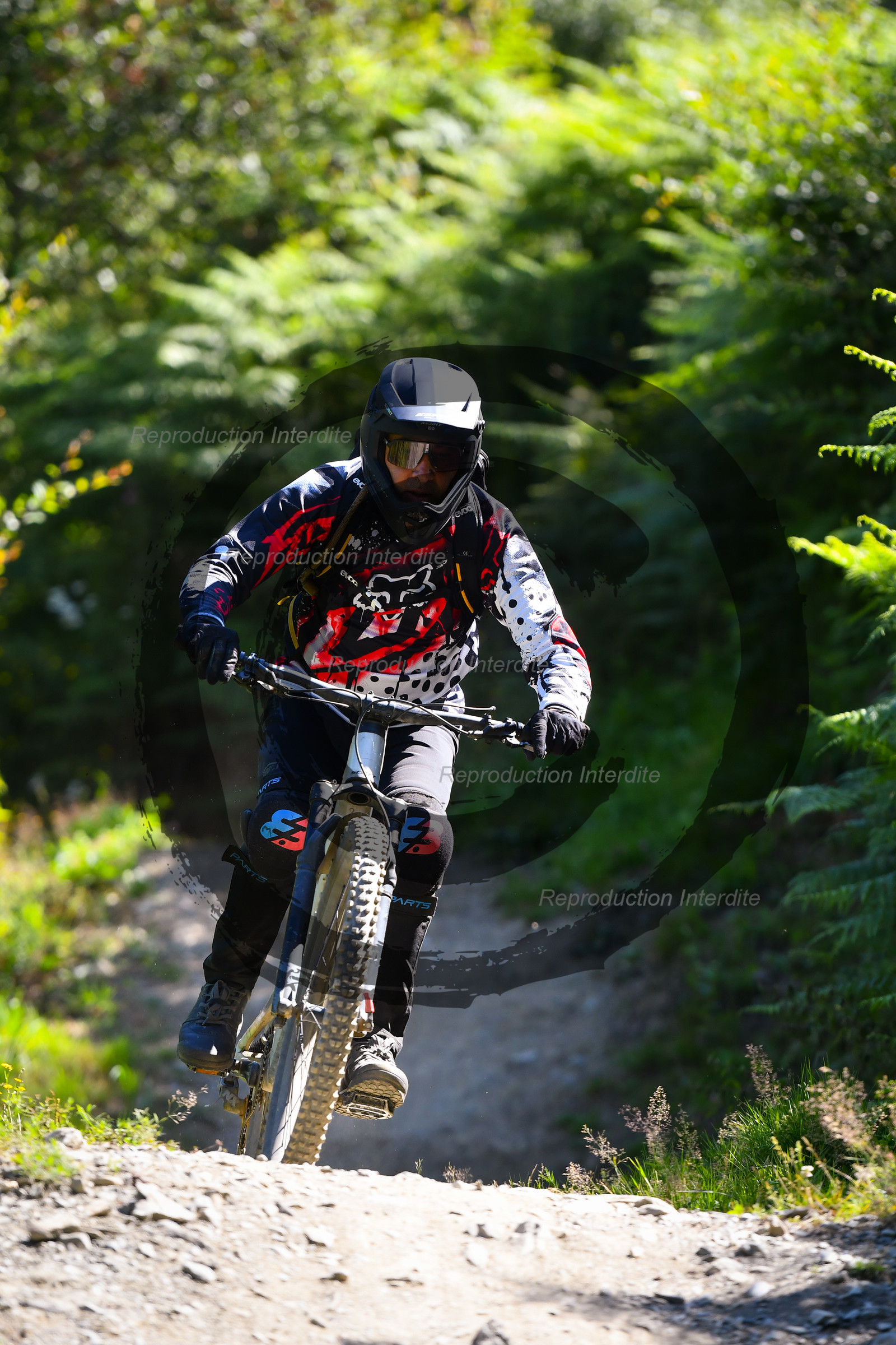 - VAL_0367 - 12H03.jpg