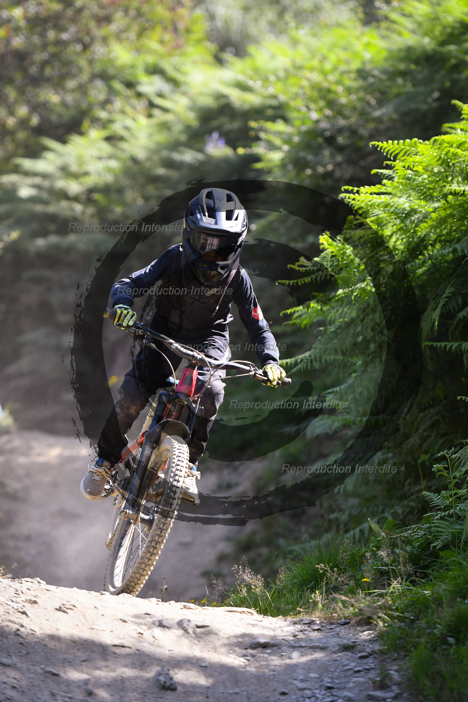 - VAL_3175 - 12H16.jpg