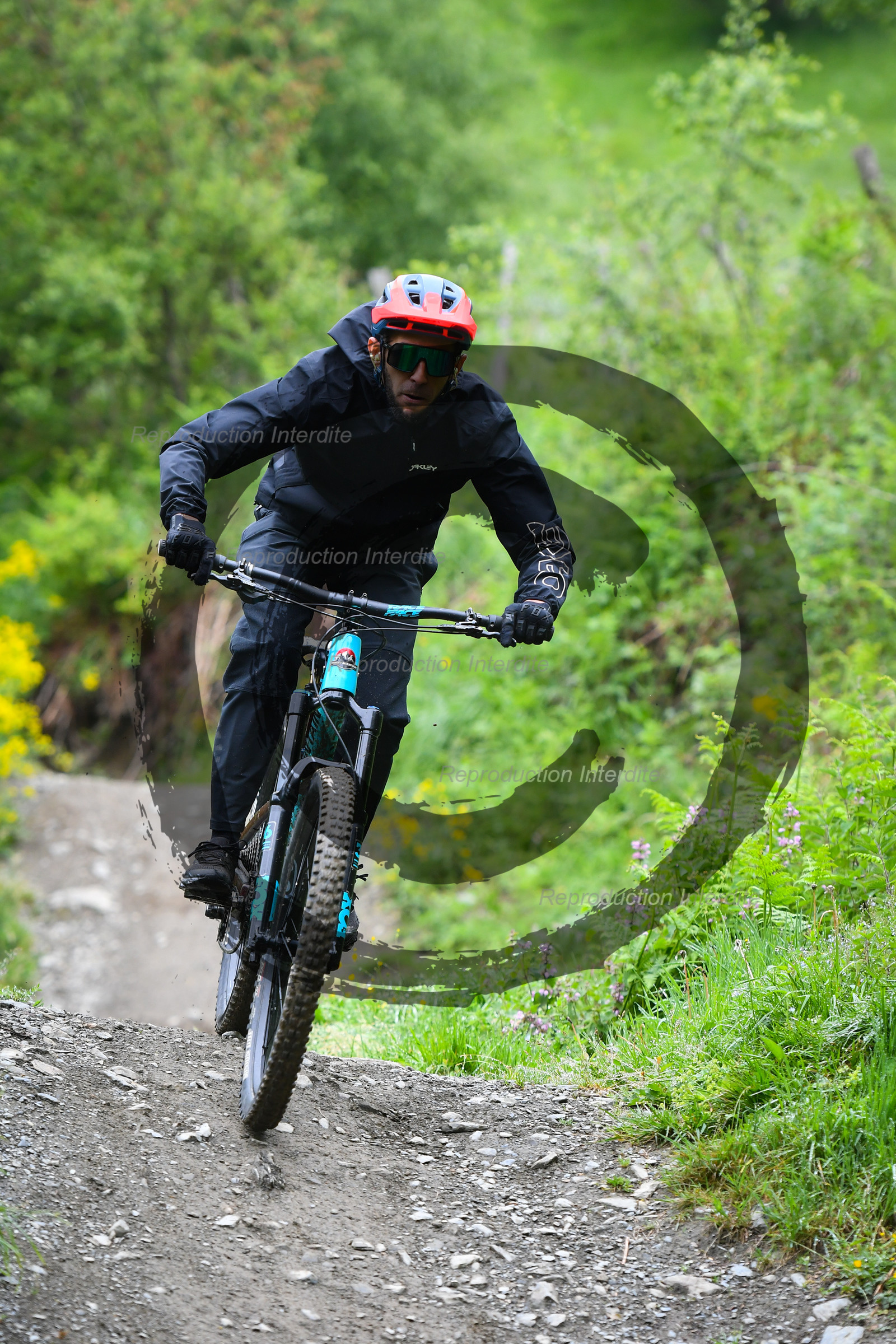 - VAL_4137 - 12H01.jpg