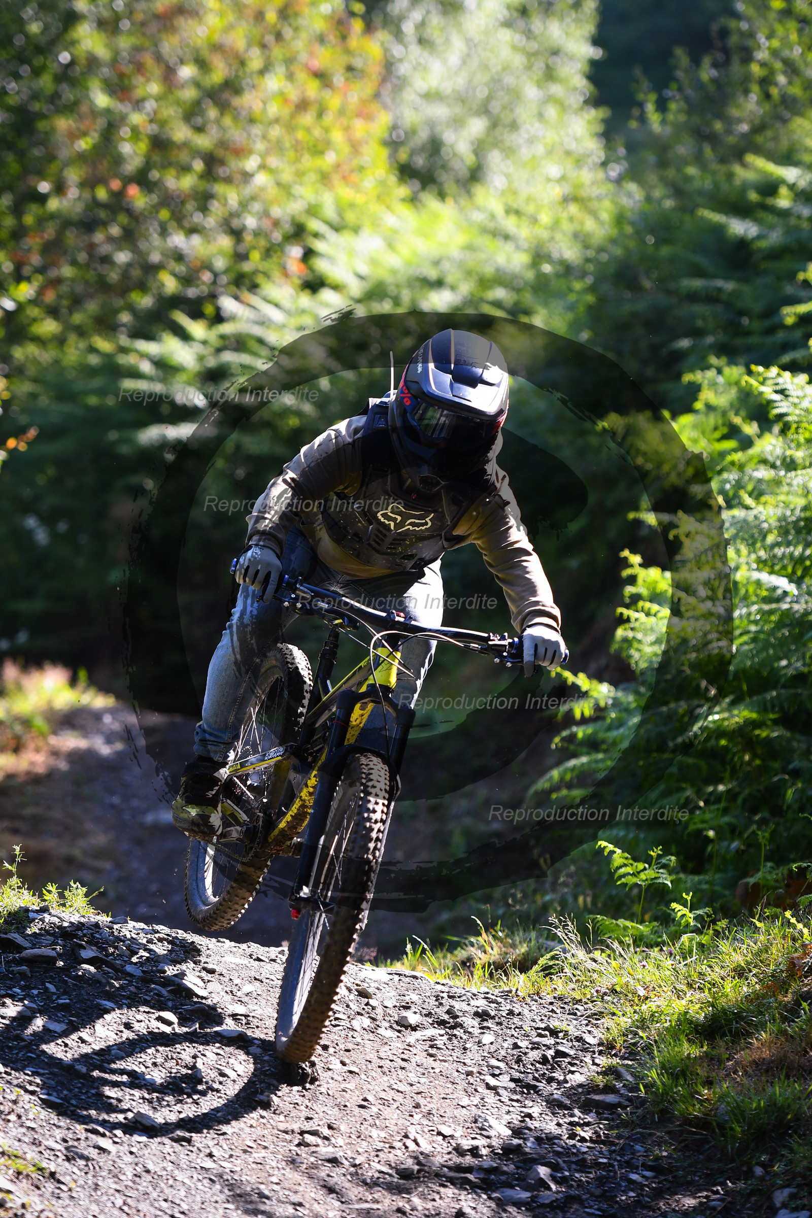 - VAL_7029 - 11H17.jpg