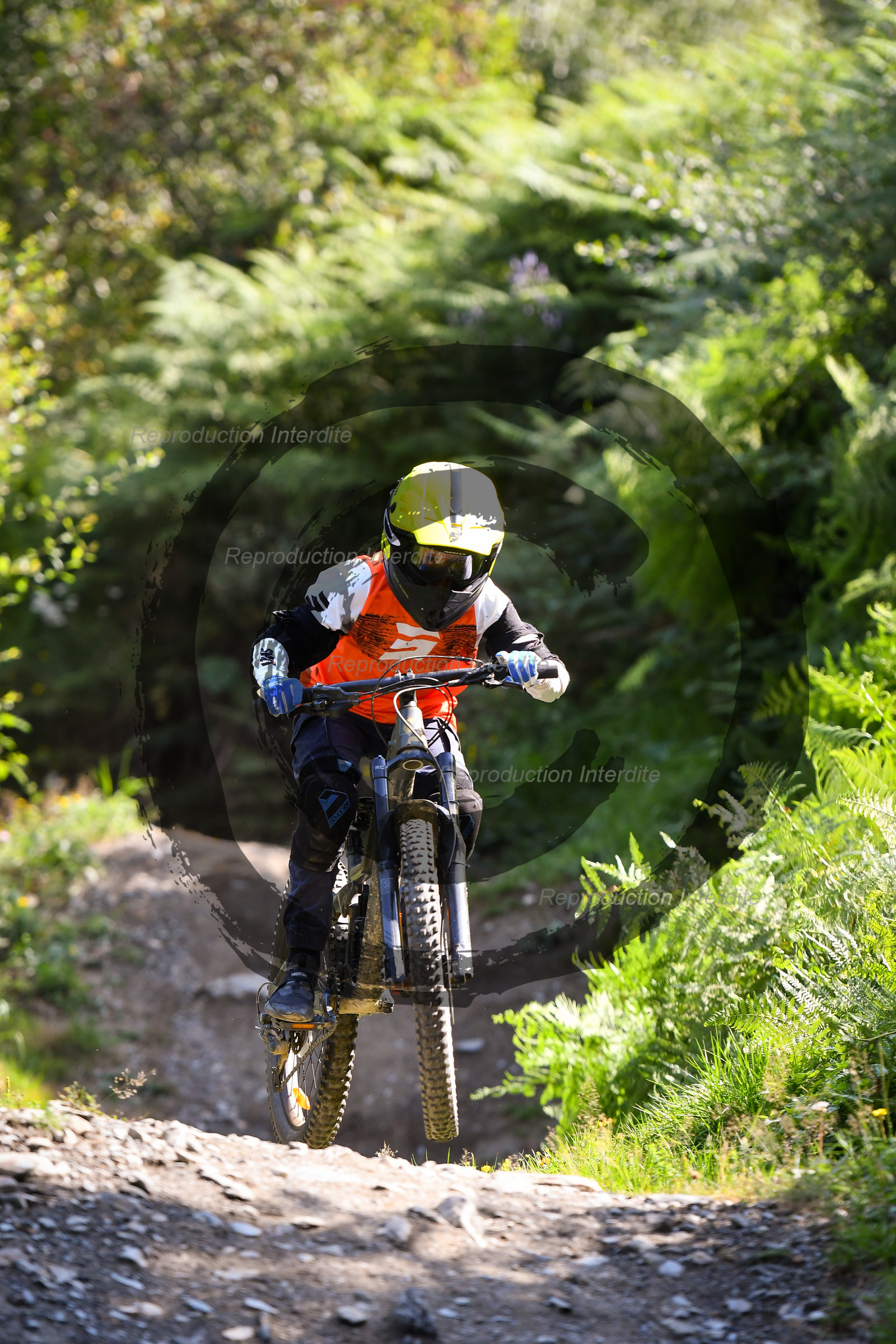 - VAL_4255 - 12H17.jpg