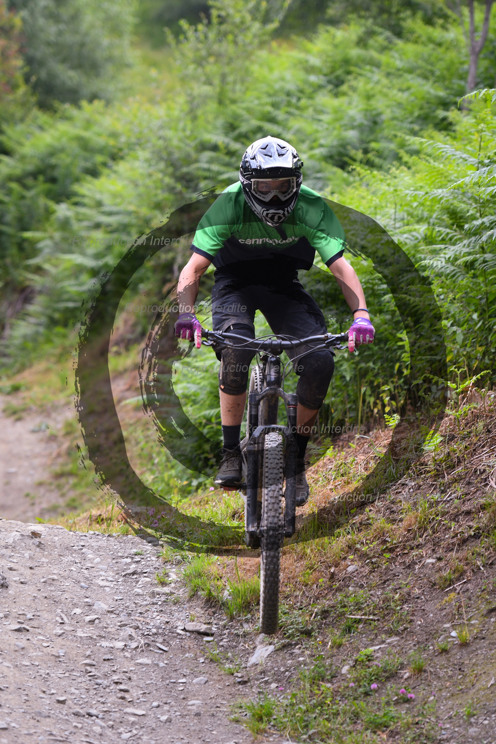 - VAL_6064 - 12H11.jpg