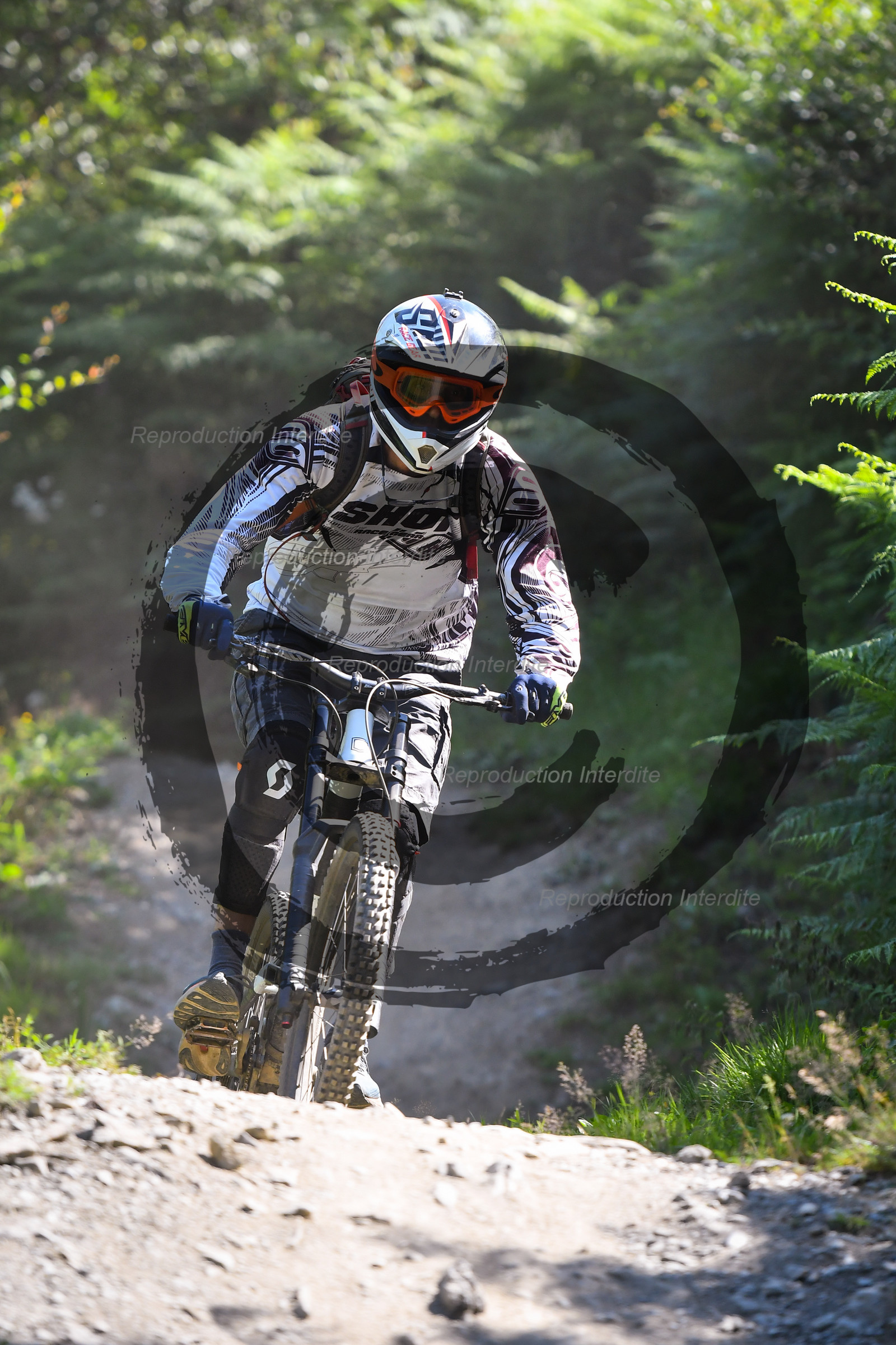 - VAL_0646 - 11H53.jpg