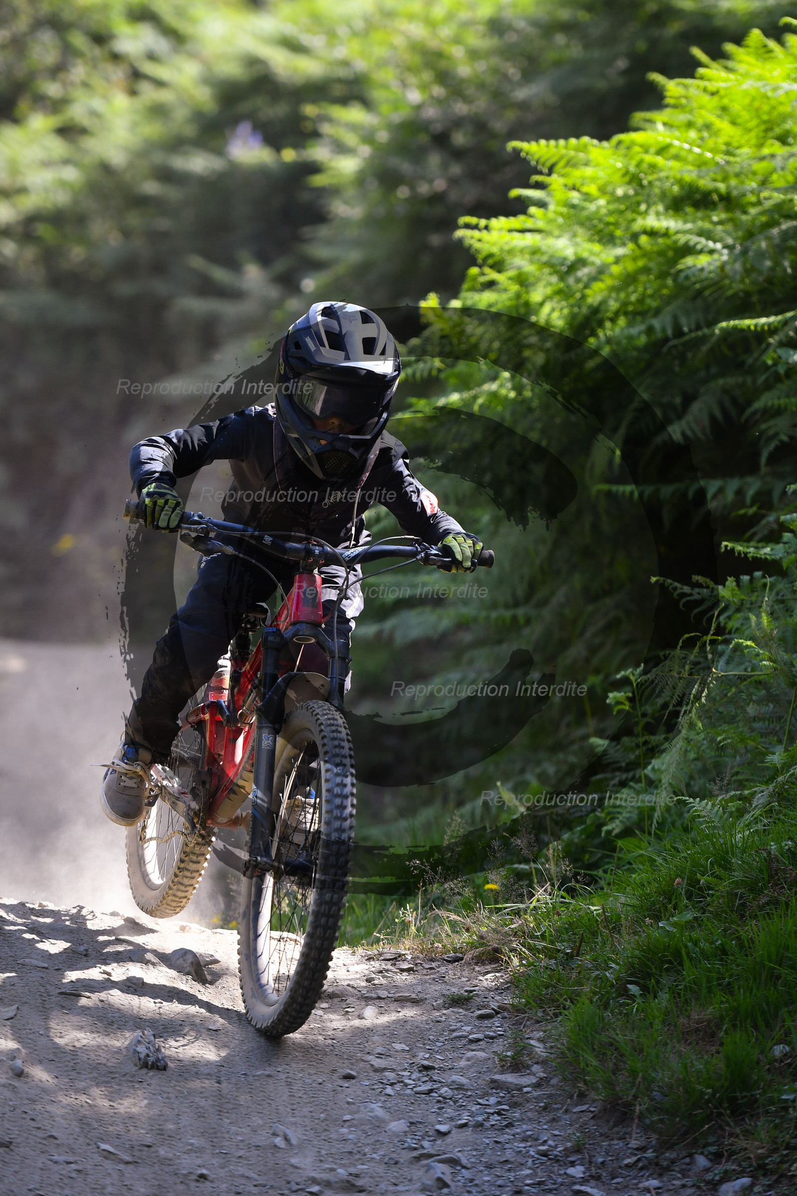 - VAL_3177 - 12H16.jpg