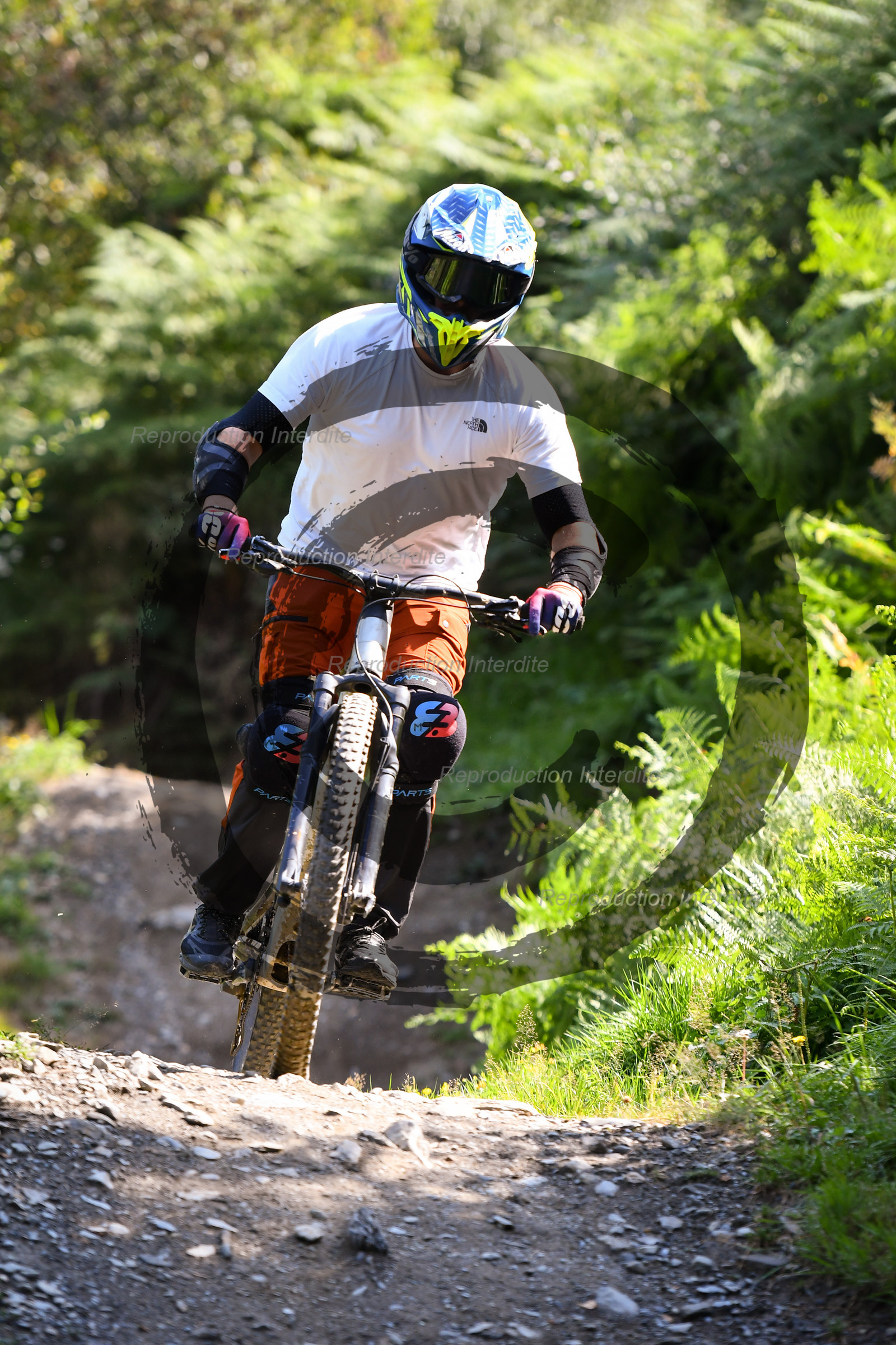 - VAL_4252 - 12H17.jpg