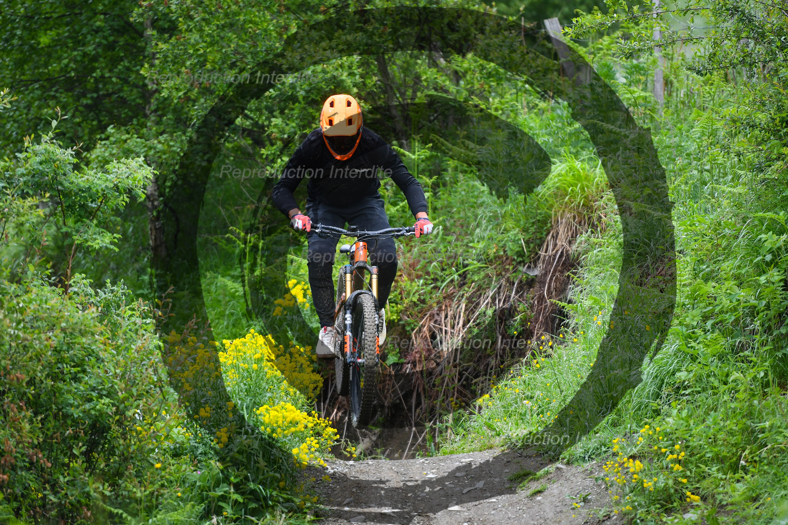 - VAL_4005 - 11H36.jpg