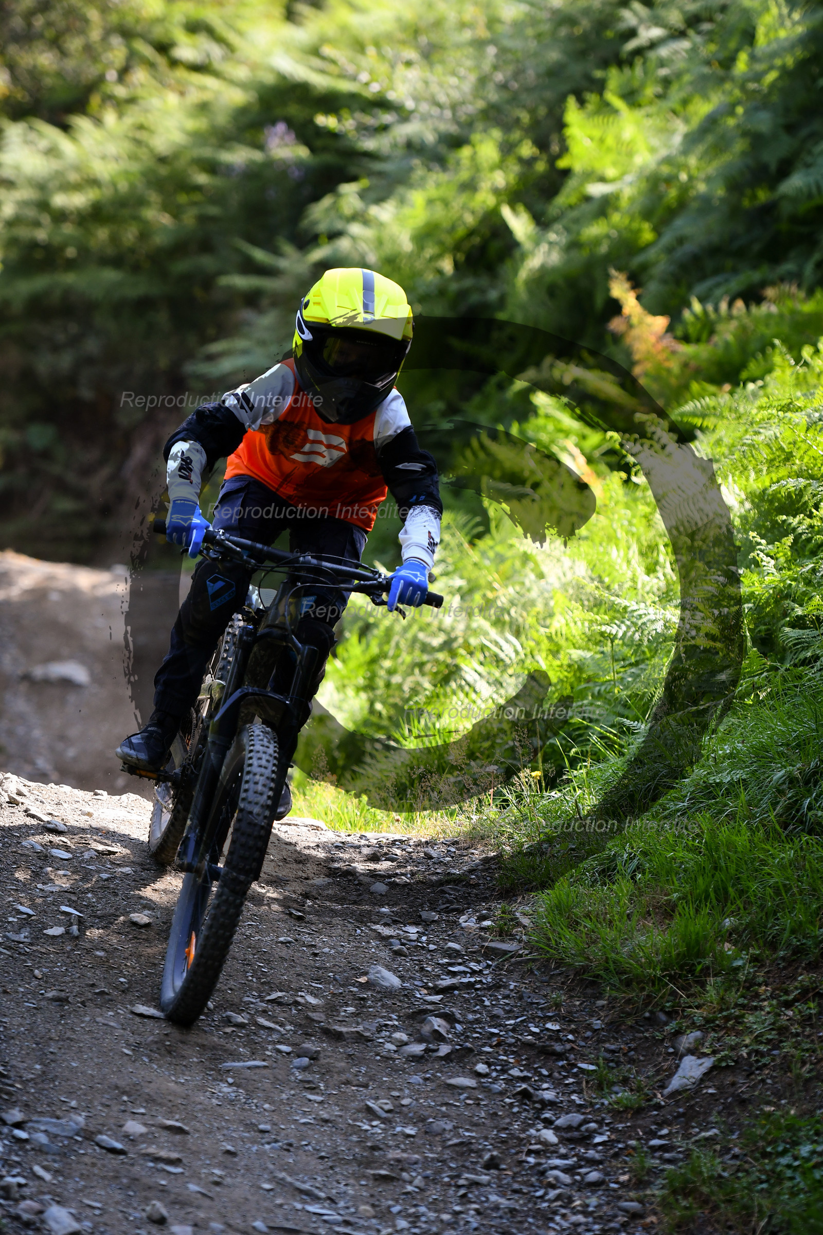 - VAL_4258 - 12H17.jpg