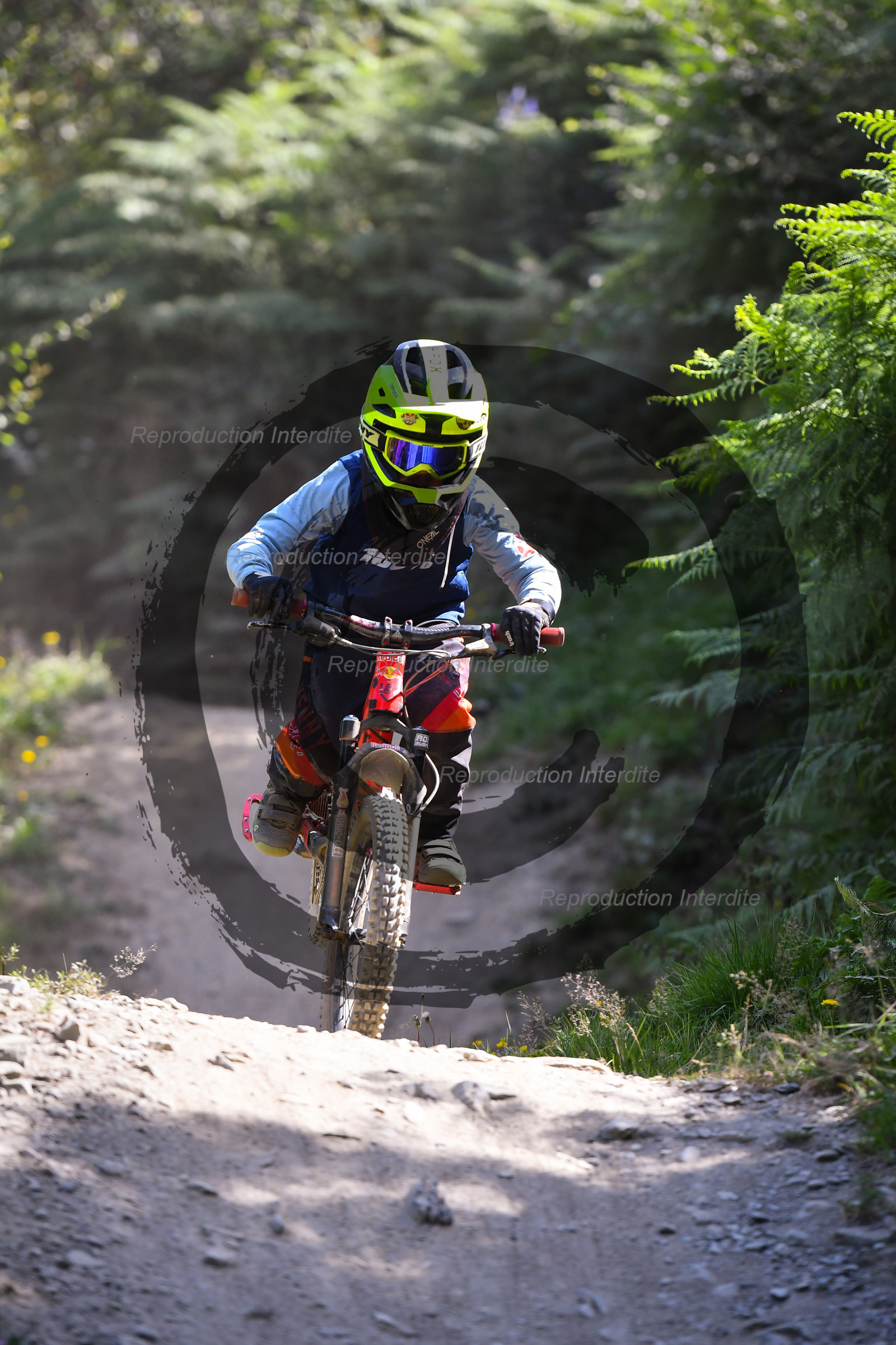 - VAL_3171 - 12H16.jpg