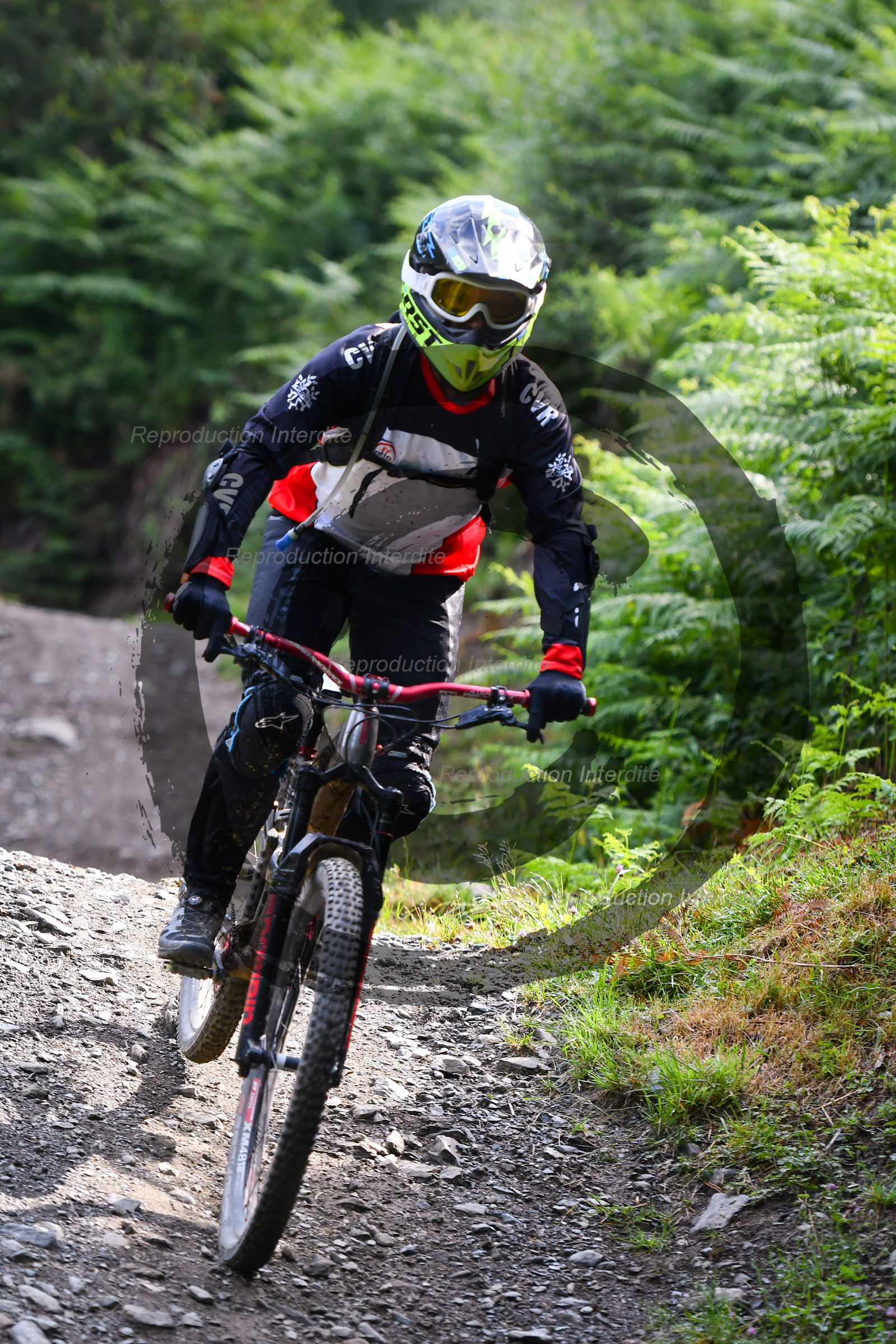 - VAL_7736 - 11H22.jpg