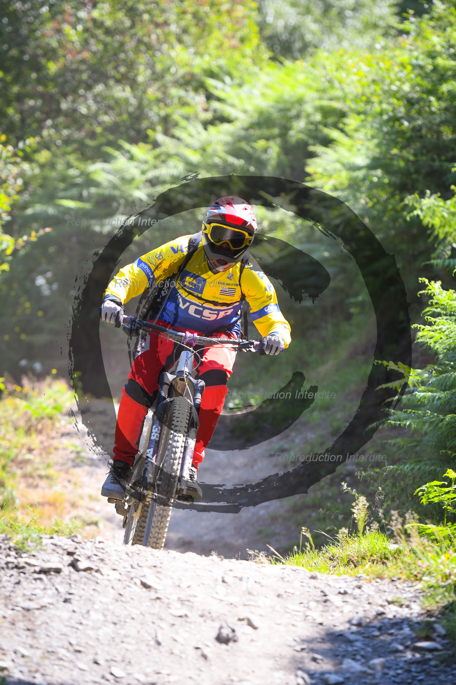 - VAL_8487 - 12H26.jpg