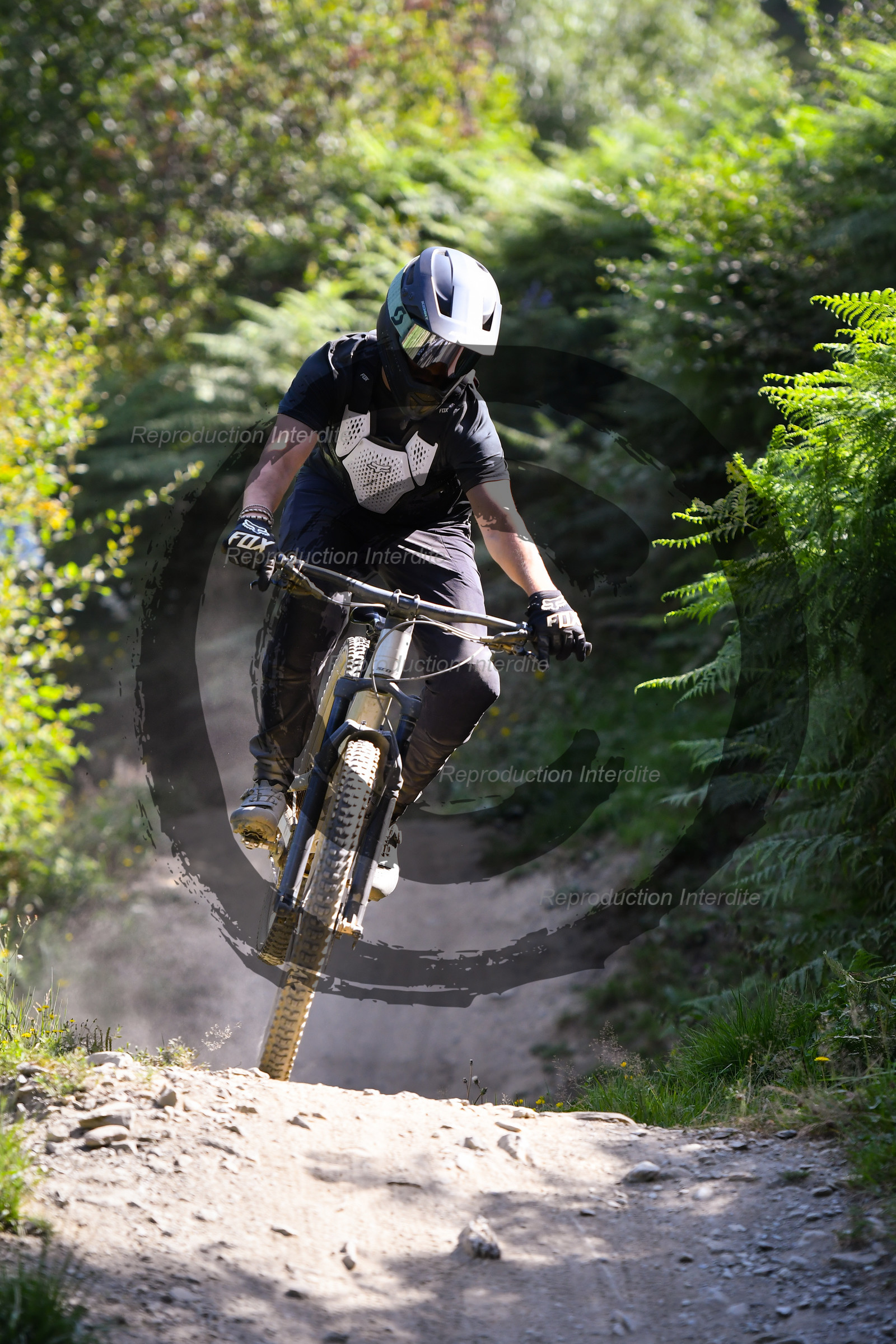 - VAL_3079 - 11H53.jpg