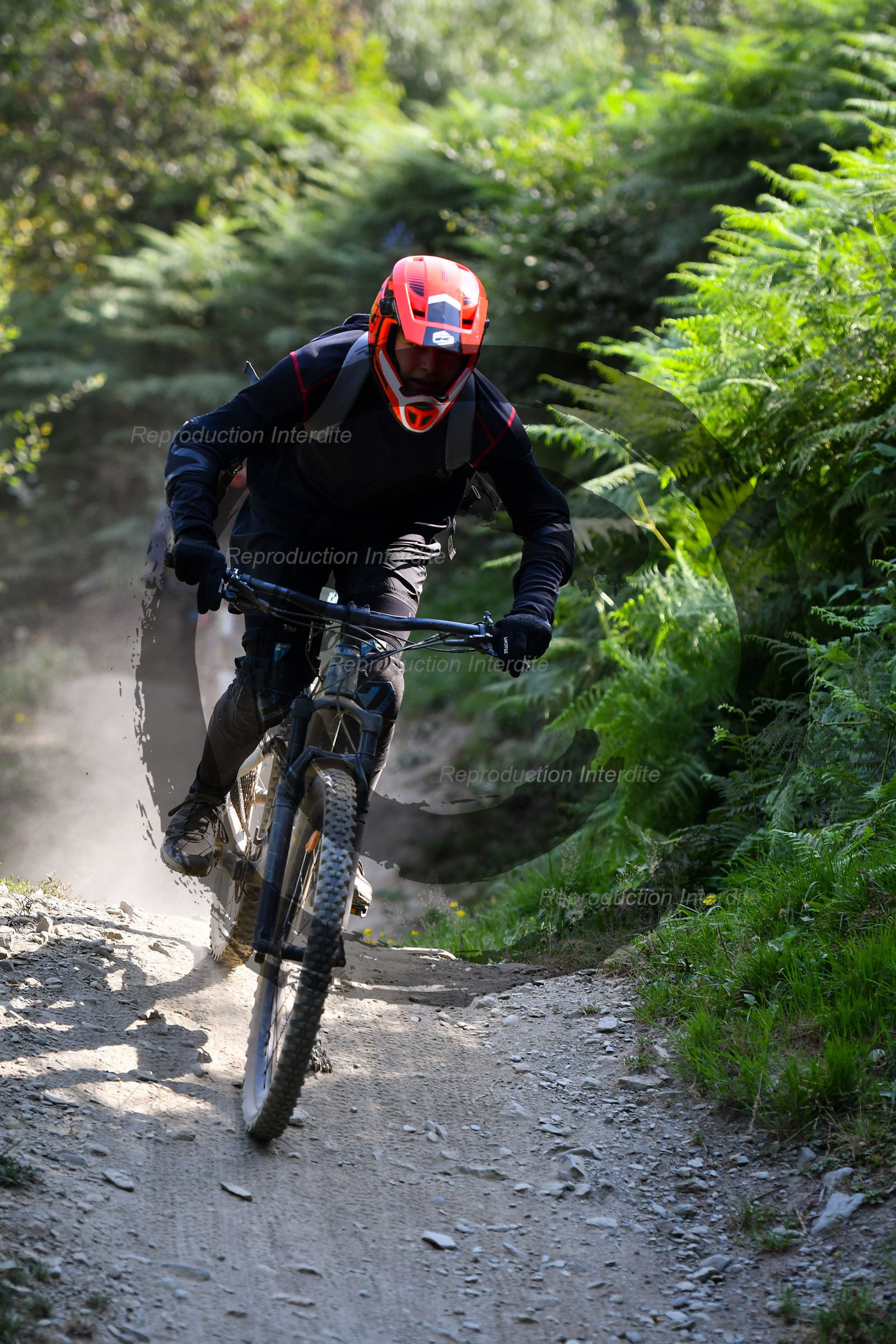 - VAL_3858 - 11H48.jpg