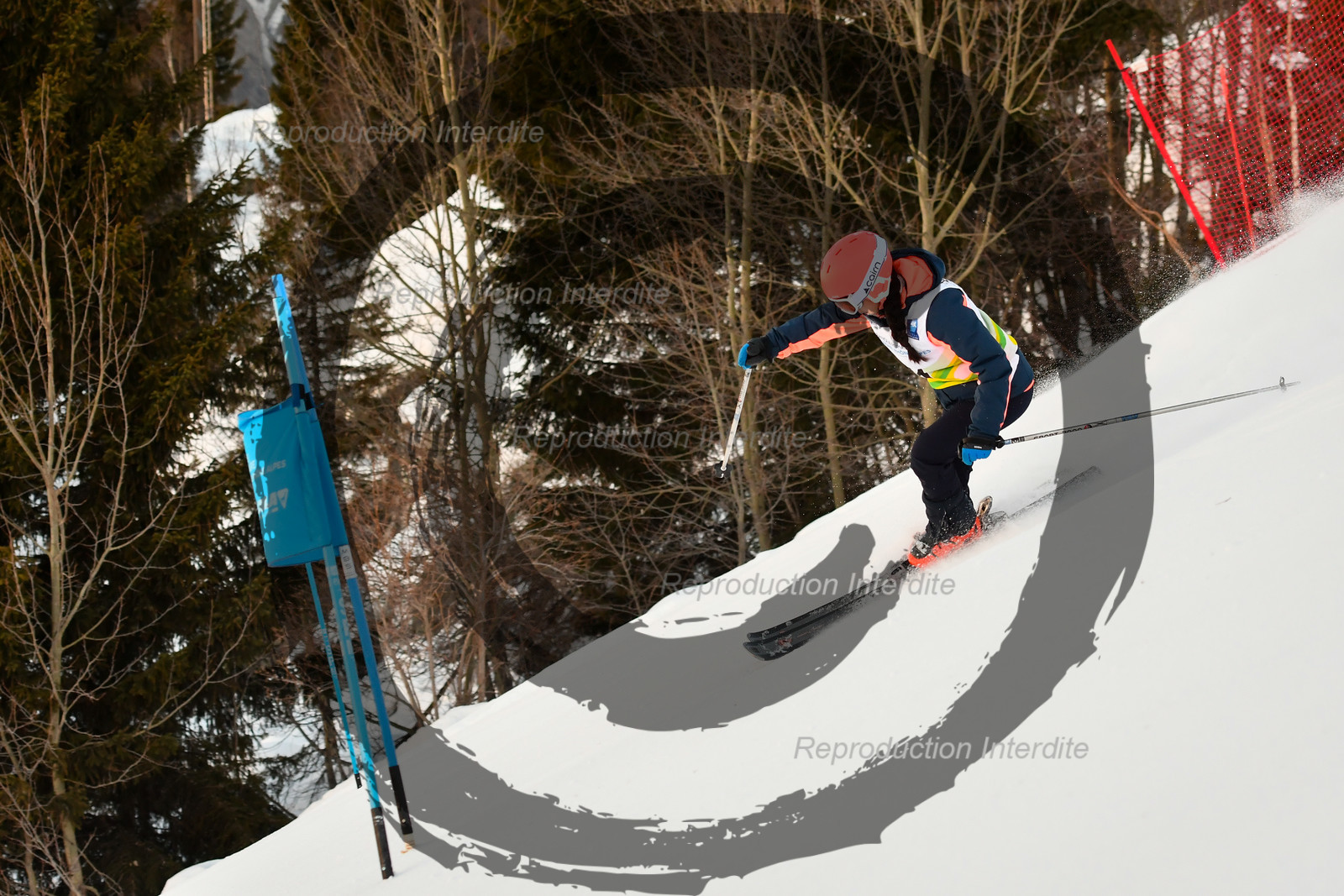 fleche Vaujany ESF Montfrais