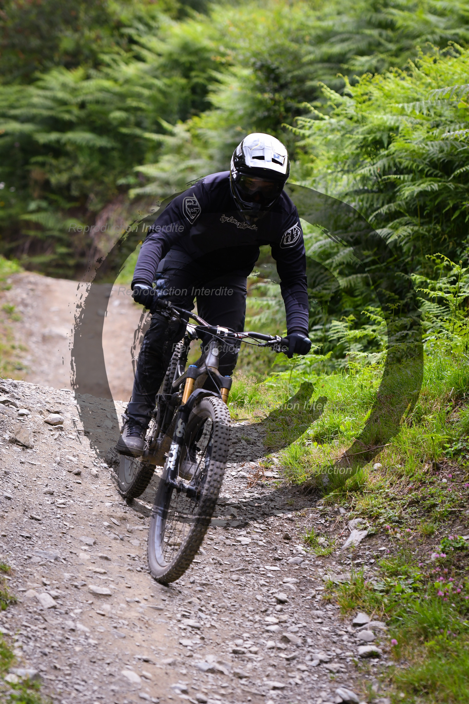 - VAL_9278 - 12H11.jpg