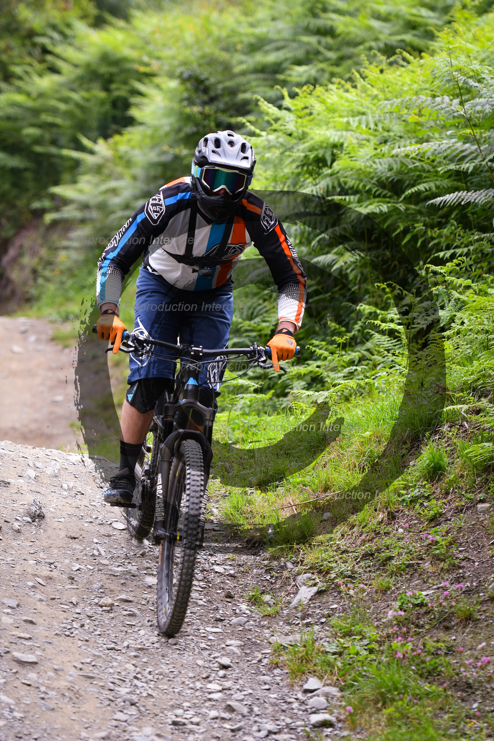 - VAL_9291 - 12H13.jpg