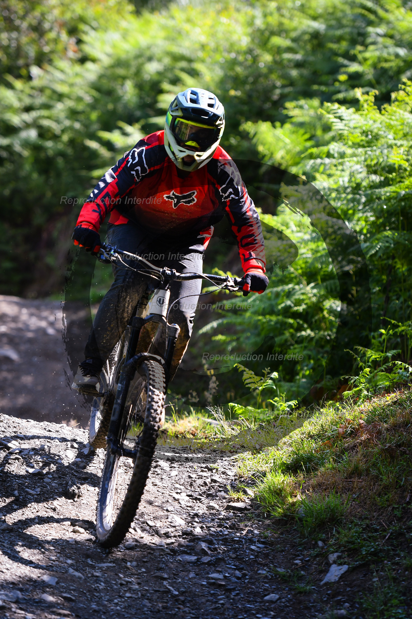 - VAL_7166 - 12H01.jpg