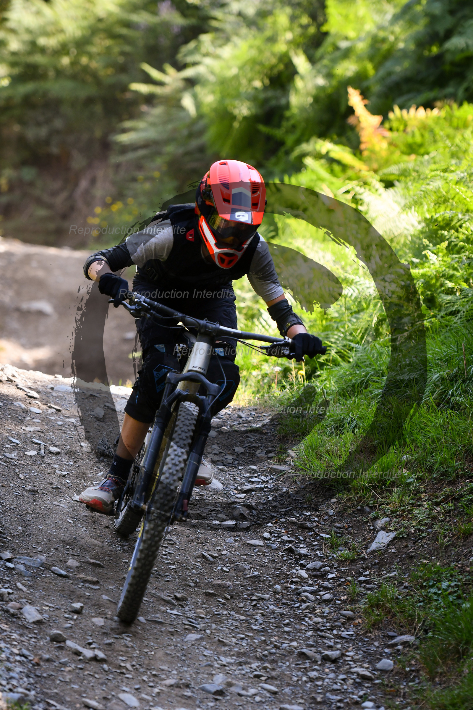 - VAL_4346 - 12H44.jpg