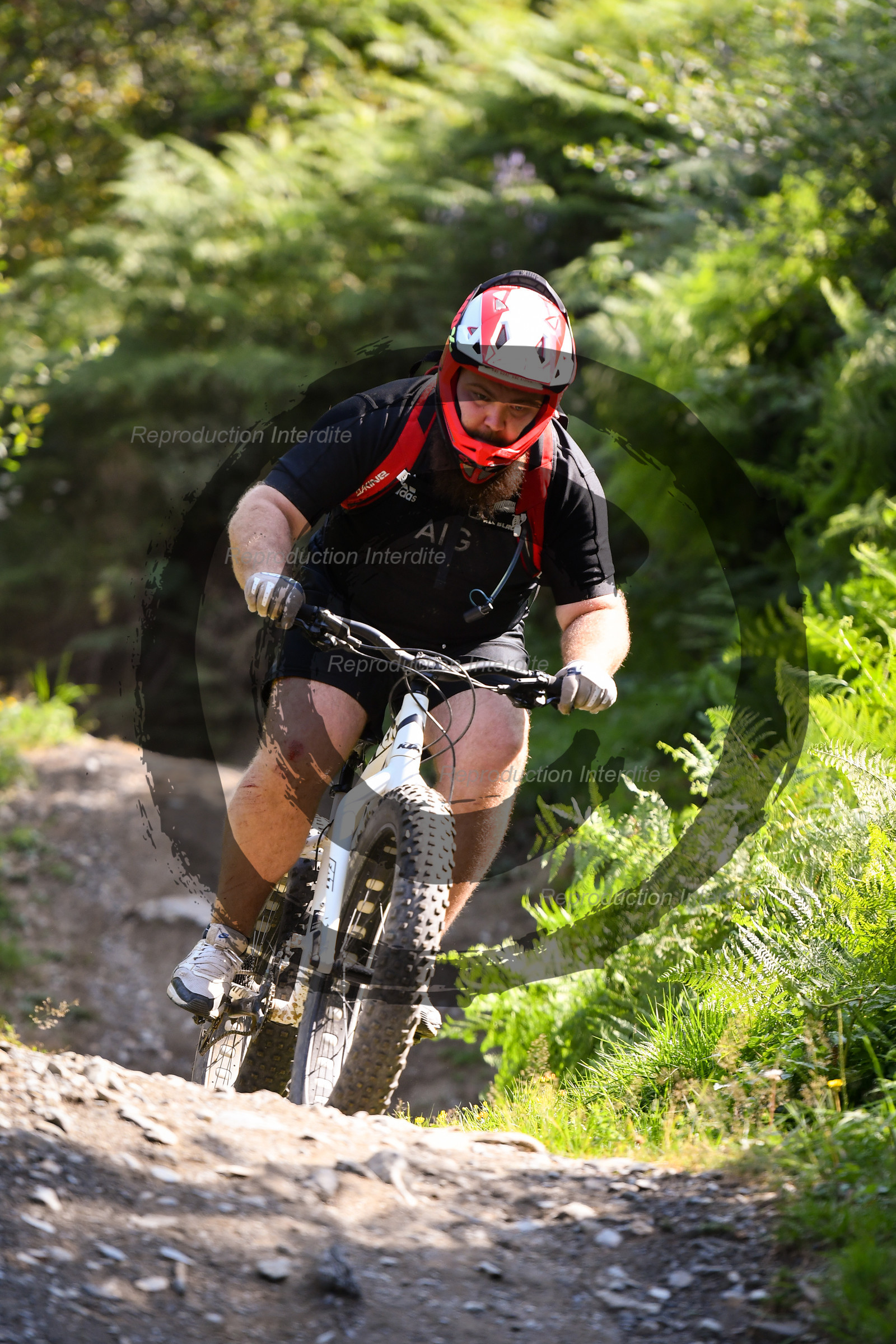 - VAL_4240 - 12H15.jpg