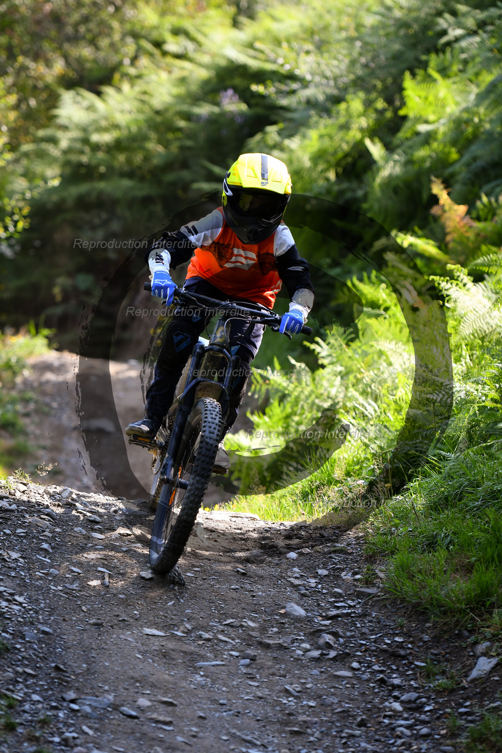 - VAL_4257 - 12H17.jpg