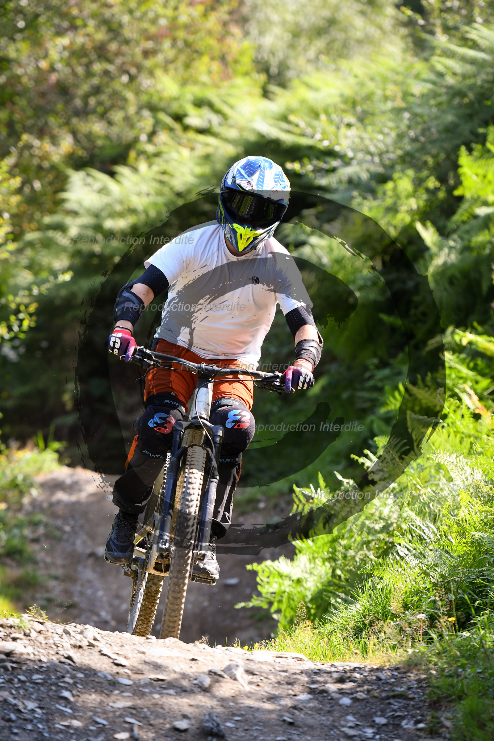 - VAL_4251 - 12H17.jpg