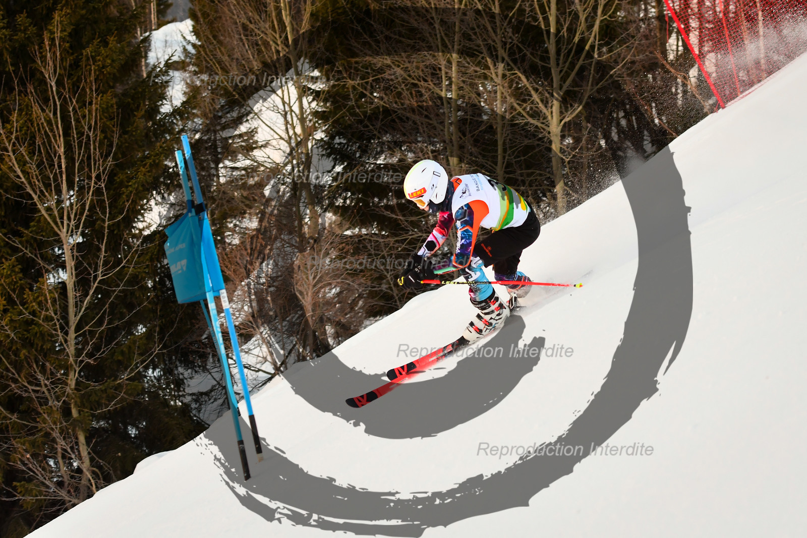 fleche Vaujany ESF Montfrais