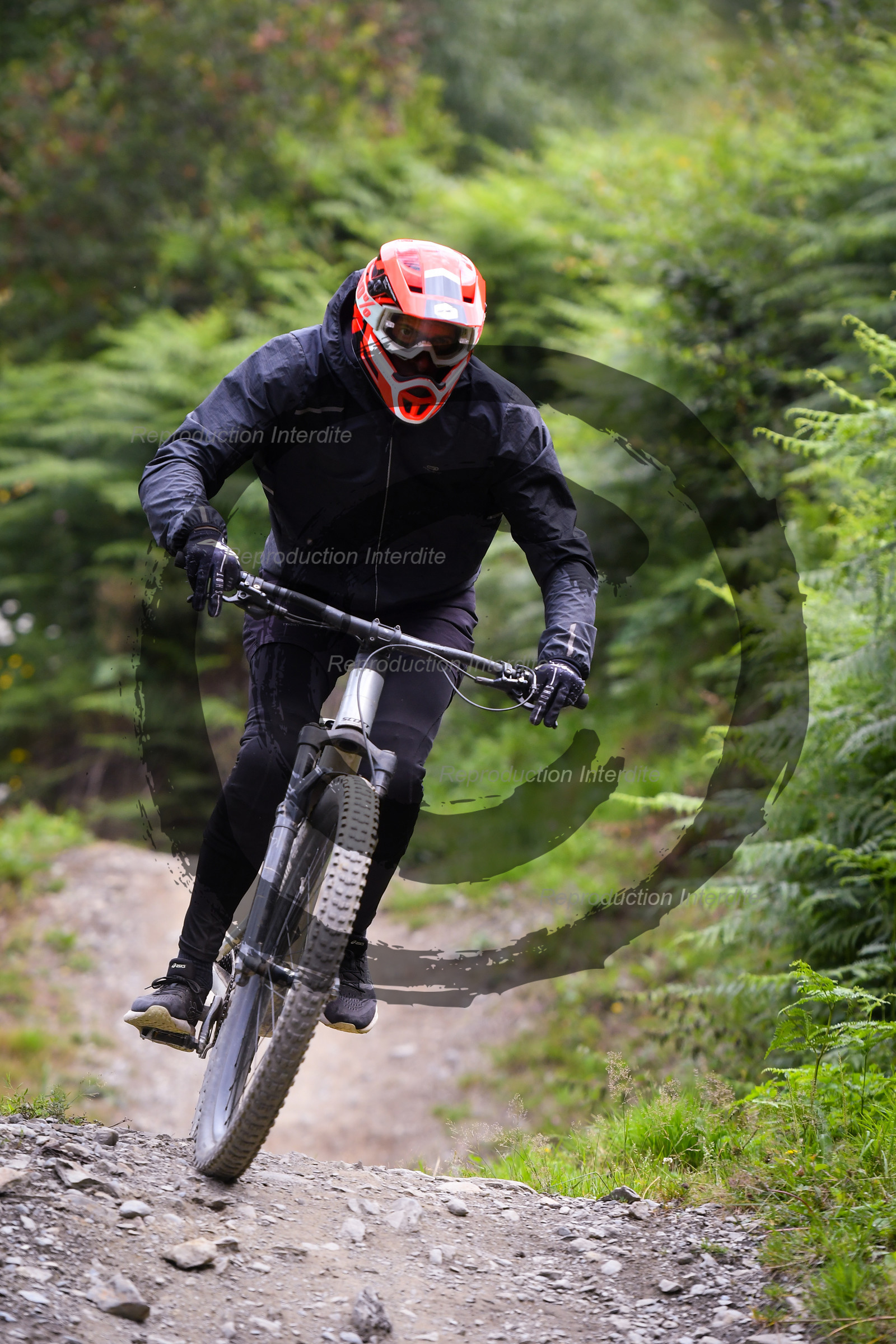 - VAL_9425 - 12H49.jpg