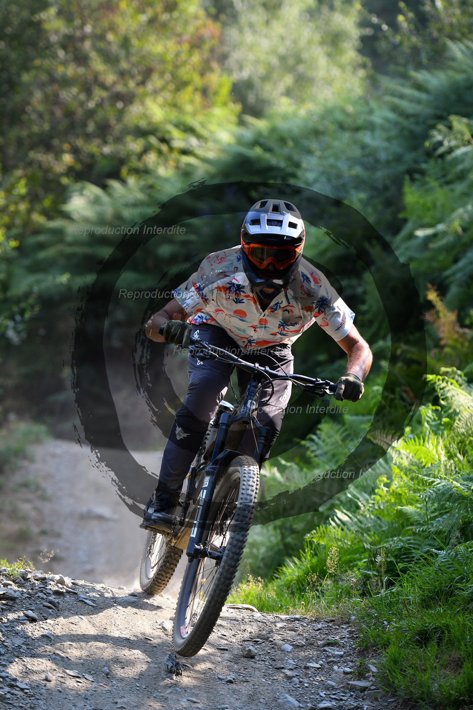 - VAL_4411 - 11H26.jpg