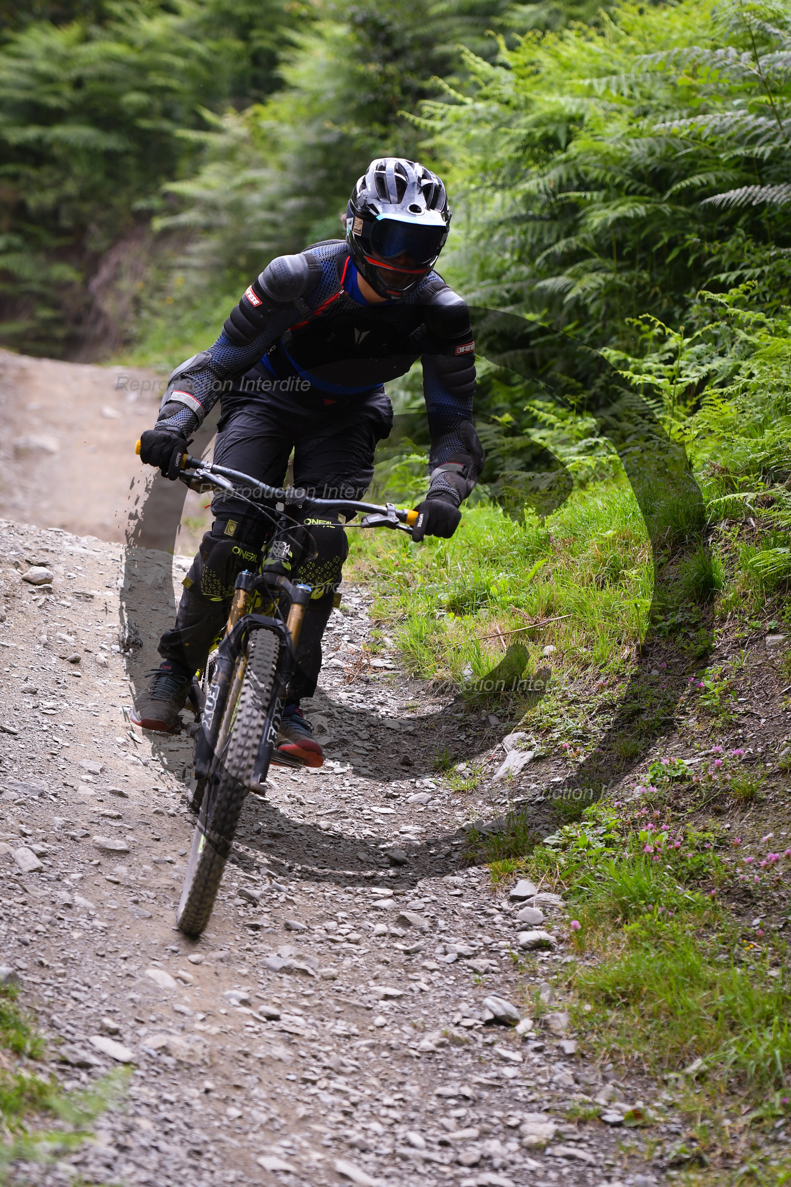 - VAL_9260 - 12H03.jpg