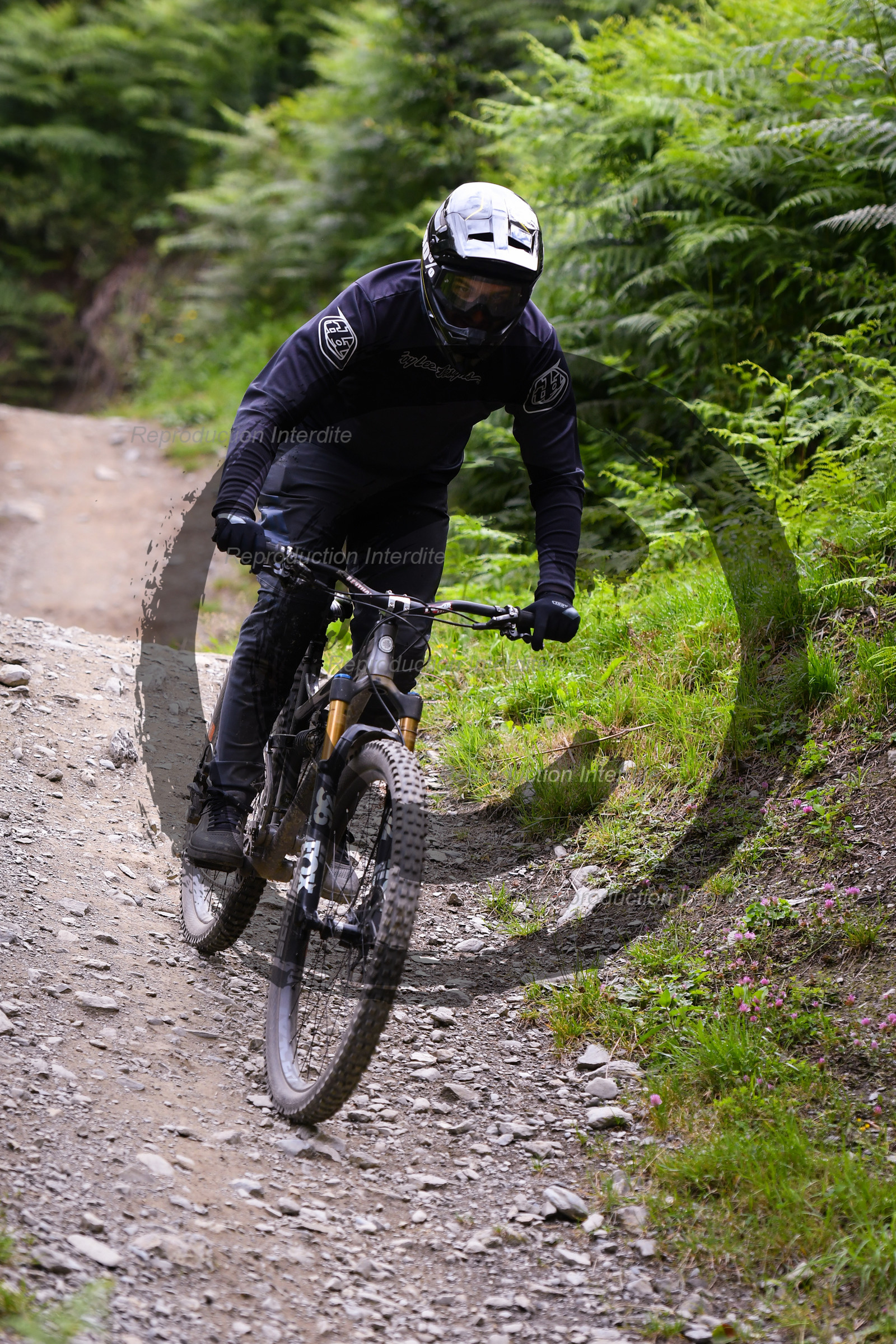 - VAL_9279 - 12H11.jpg