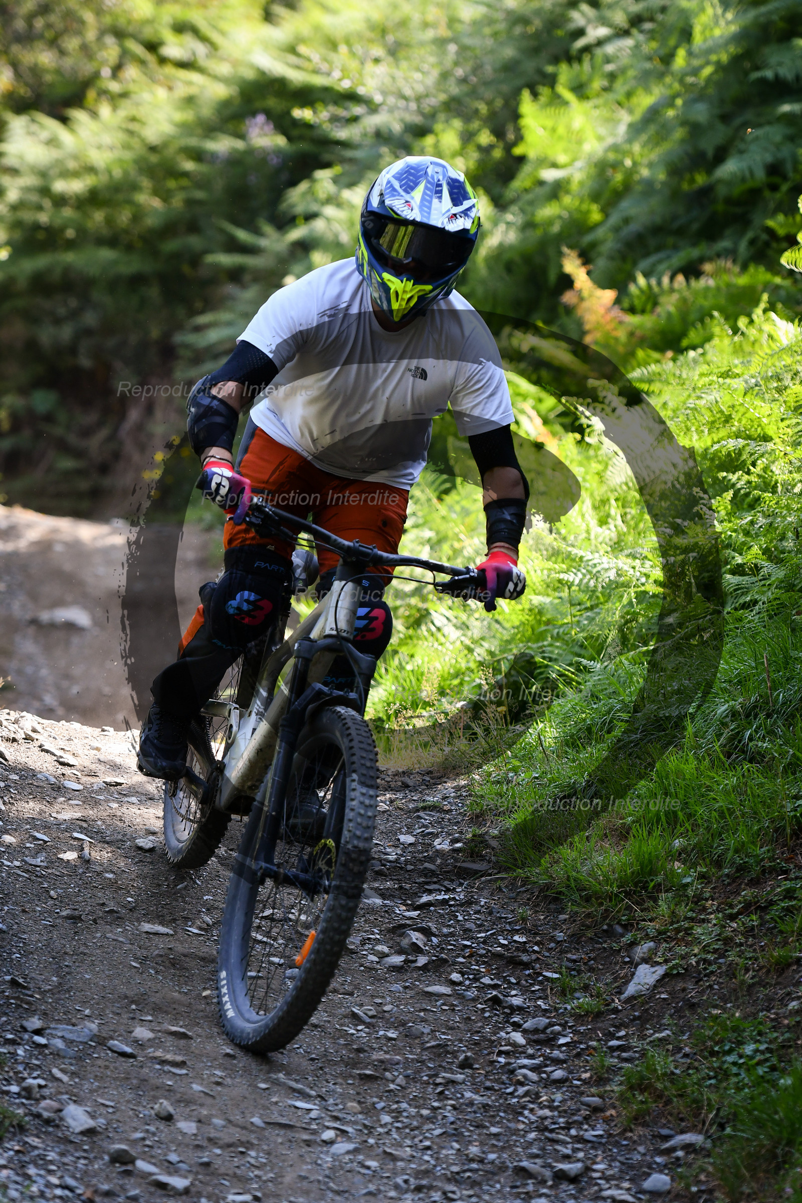 - VAL_4254 - 12H17.jpg