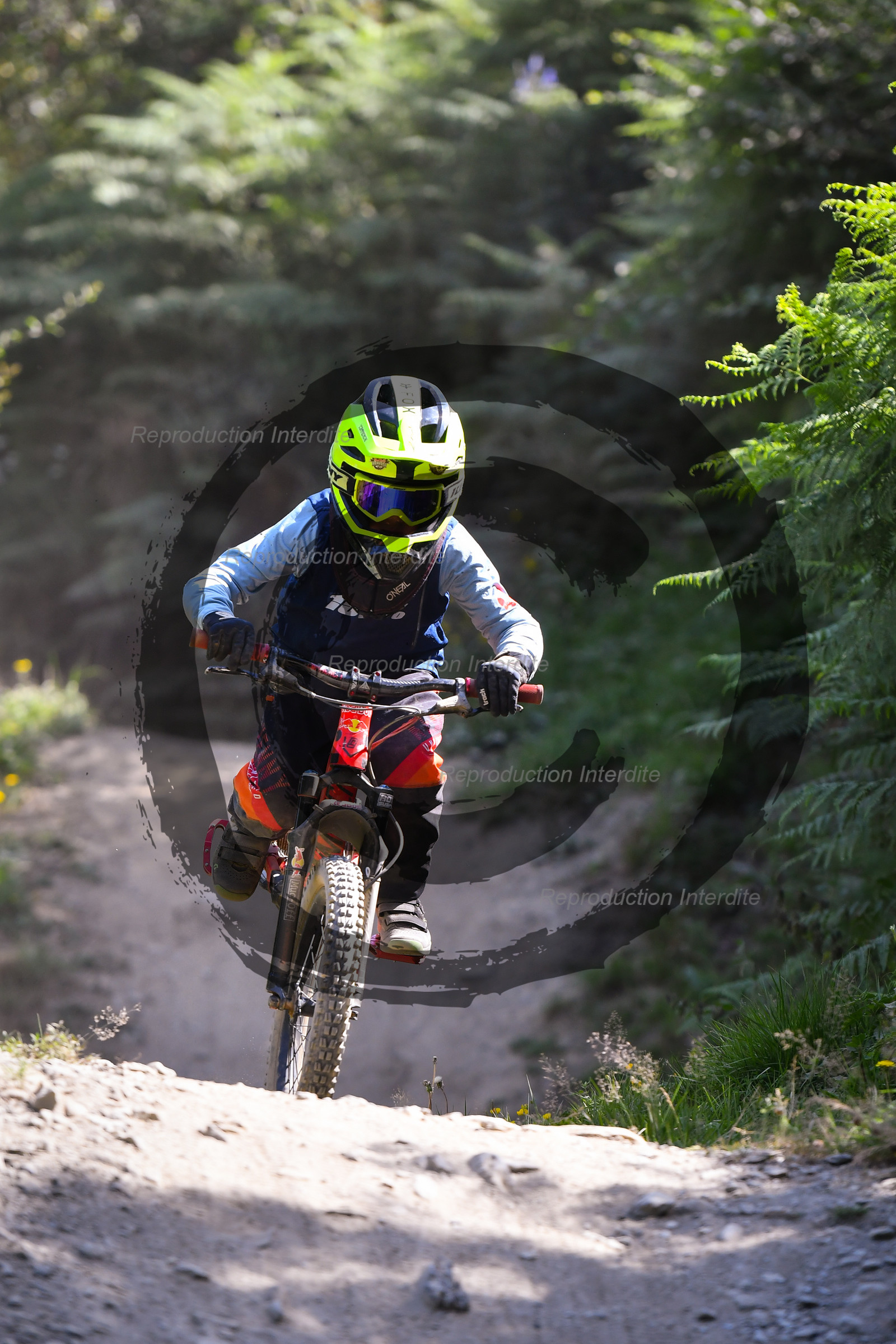 - VAL_3170 - 12H16.jpg